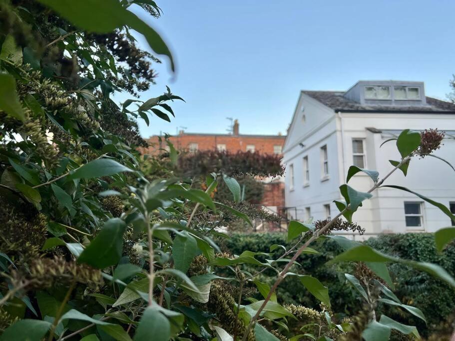 Vernon Place Town Centre, Vernon Cottage 3-Bed With Parking, 1A Vernon Court 2-Bed With Parking, 1B Studio No Parking, Off The High Street Next To Sandford Park Cheltenham Zewnętrze zdjęcie